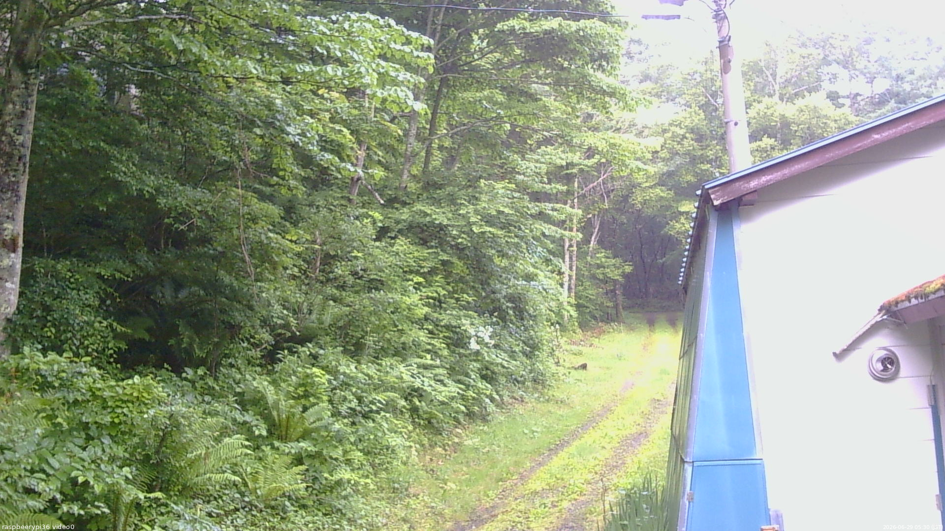 長野県菅平高原 ゆたか山荘 ゆたか山荘 2026/06/29 05:30