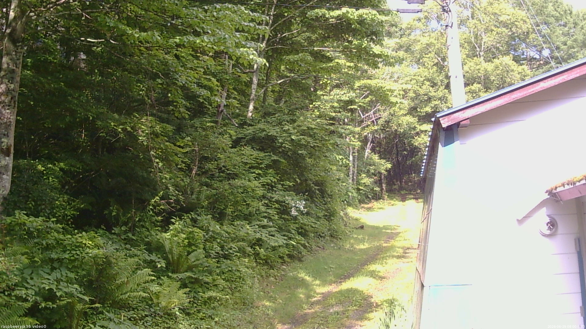 長野県菅平高原 ゆたか山荘 ゆたか山荘 2026/06/29 08:00