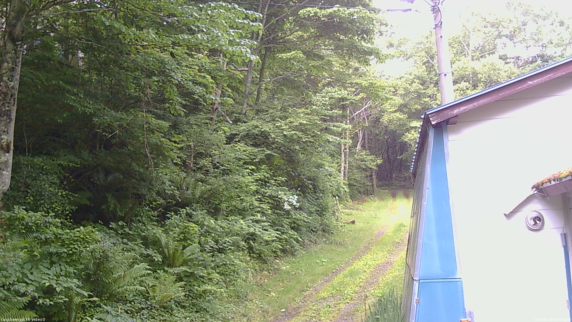 長野県菅平高原 ゆたか山荘 ゆたか山荘 2026/06/29 08:45