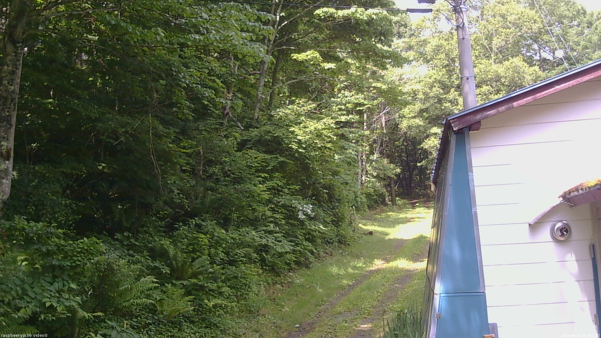 長野県菅平高原 ゆたか山荘 ゆたか山荘 2026/06/29 09:45