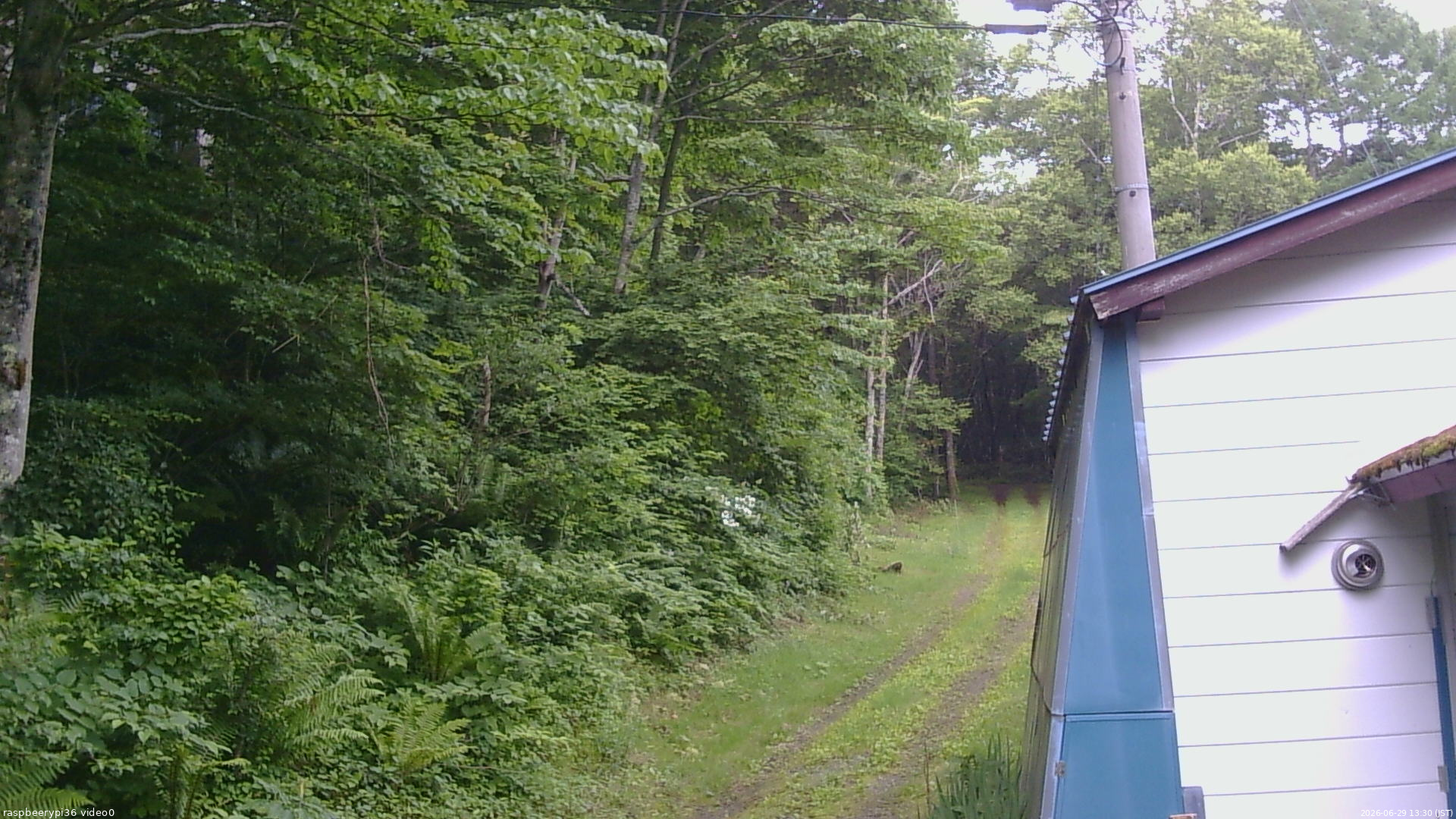 長野県菅平高原 ゆたか山荘 ゆたか山荘 2026/06/29 13:30