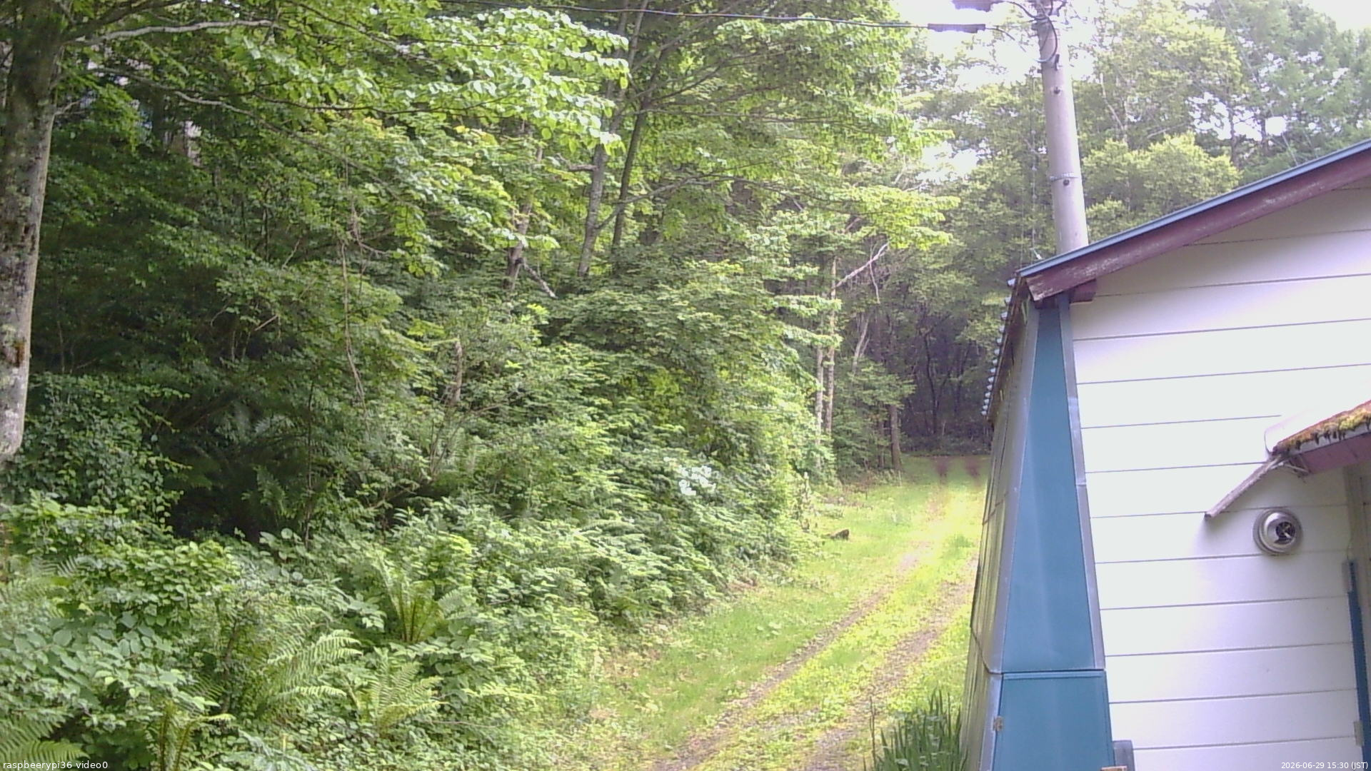 長野県菅平高原 ゆたか山荘 ゆたか山荘 2026/06/29 15:30