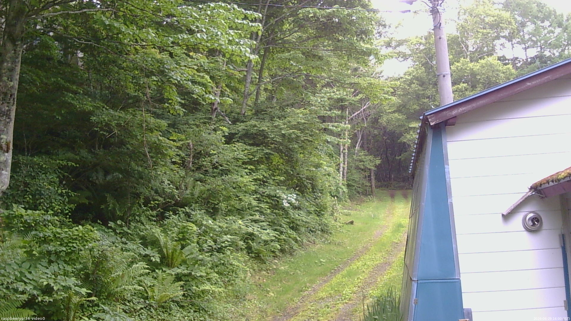長野県菅平高原 ゆたか山荘 ゆたか山荘 2026/06/29 16:00