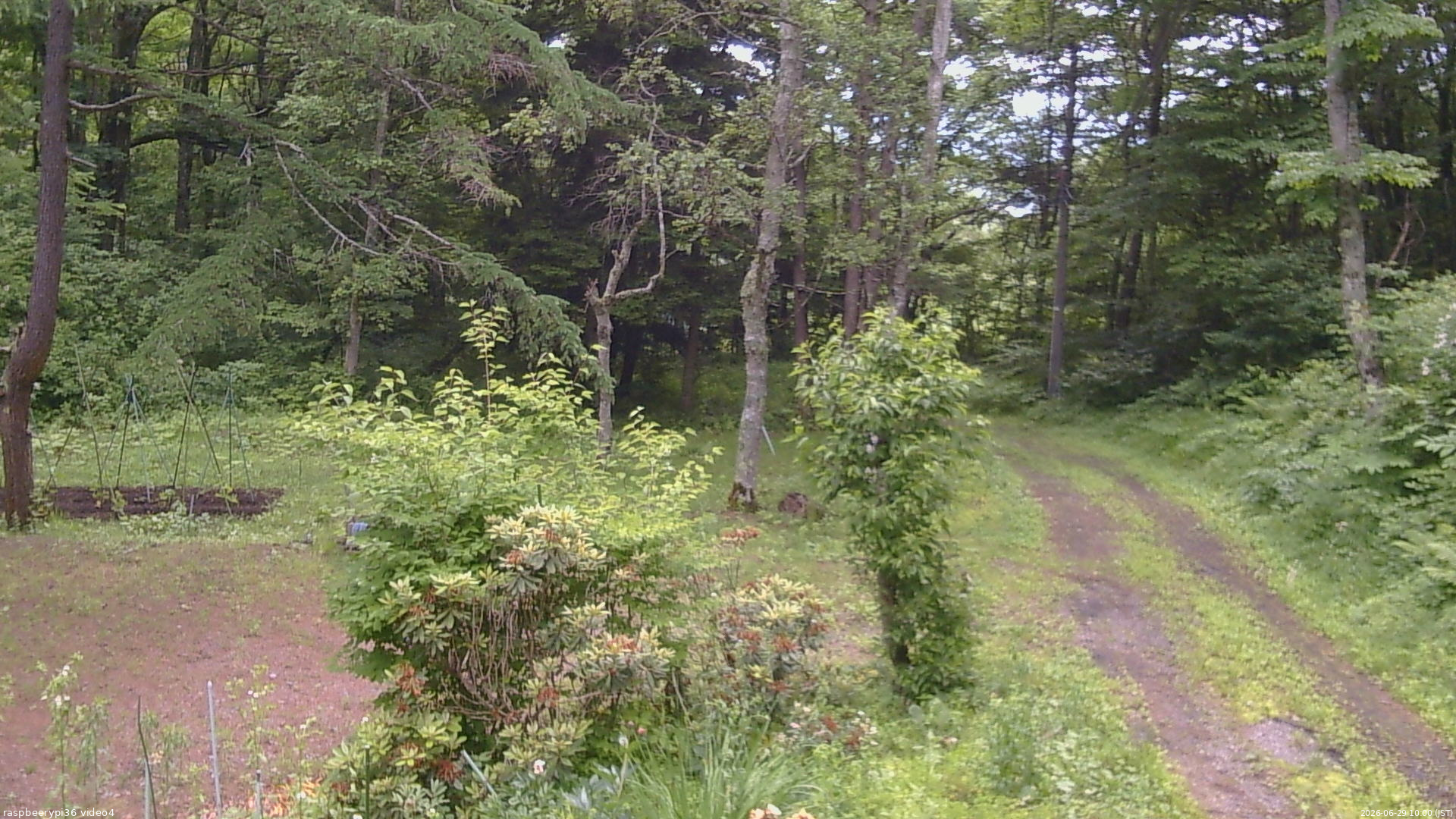 長野県菅平高原 ゆたか山荘 坂上 2026/06/29 10:00
