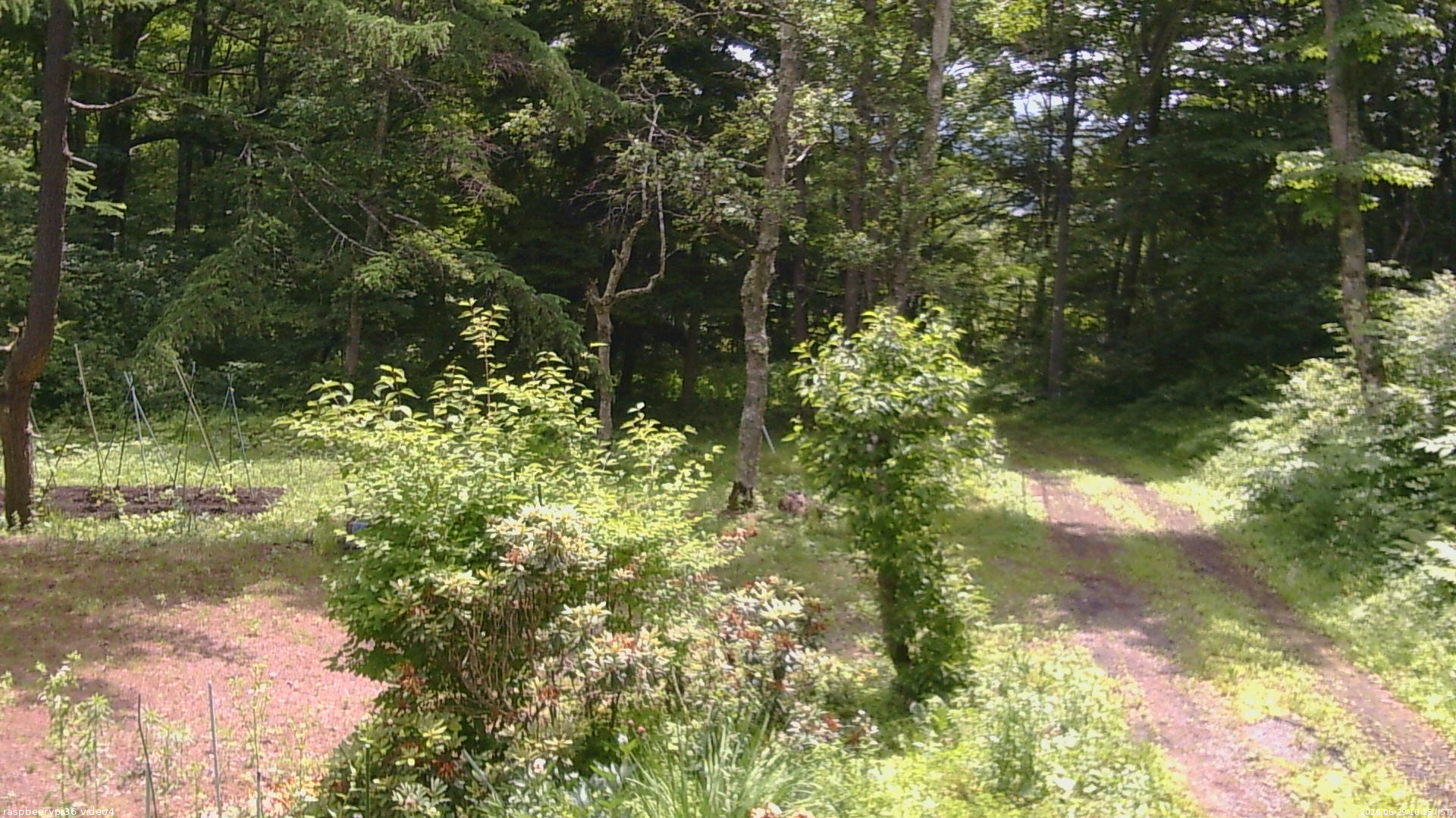 長野県菅平高原 ゆたか山荘 坂上 2026/06/29 10:15