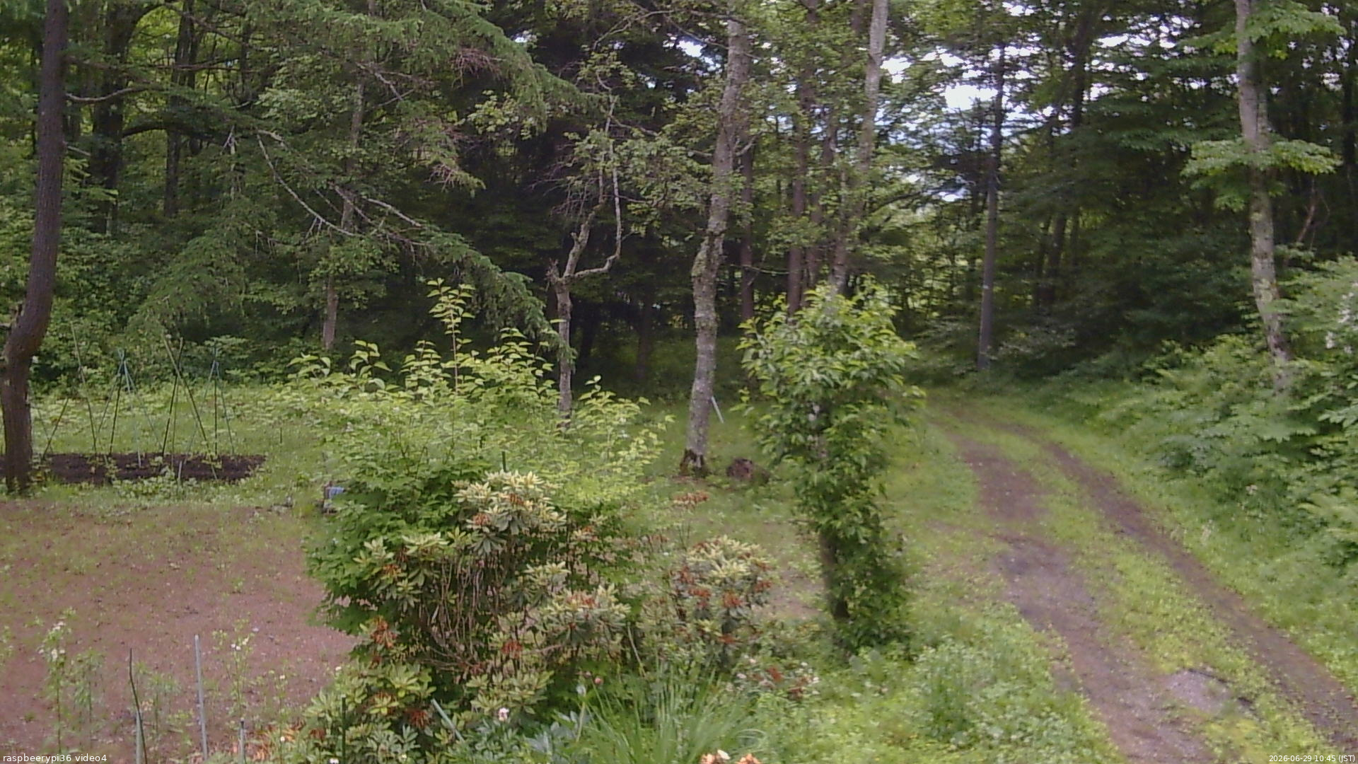 長野県菅平高原 ゆたか山荘 坂上 2026/06/29 10:45