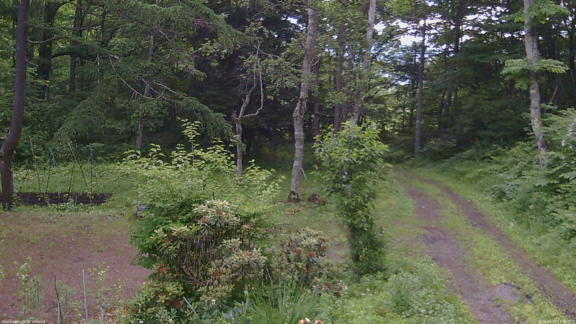 長野県菅平高原 ゆたか山荘 坂上 2026/06/29 13:30