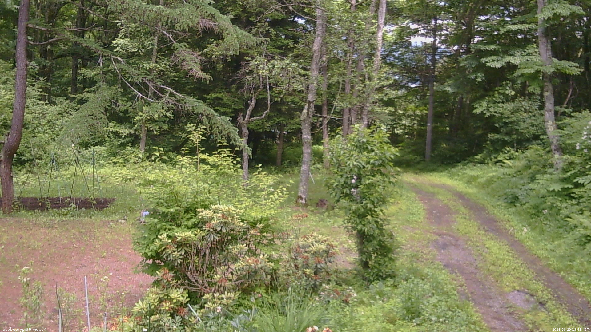 長野県菅平高原 ゆたか山荘 坂上 2026/06/29 13:45