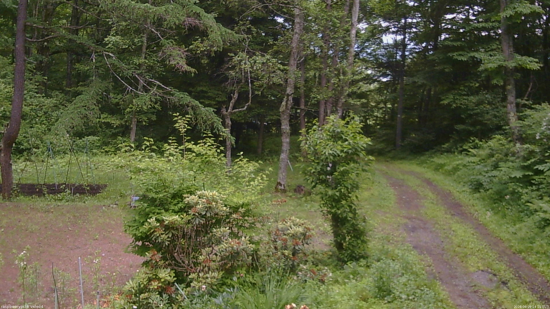 長野県菅平高原 ゆたか山荘 坂上 2026/06/29 14:15