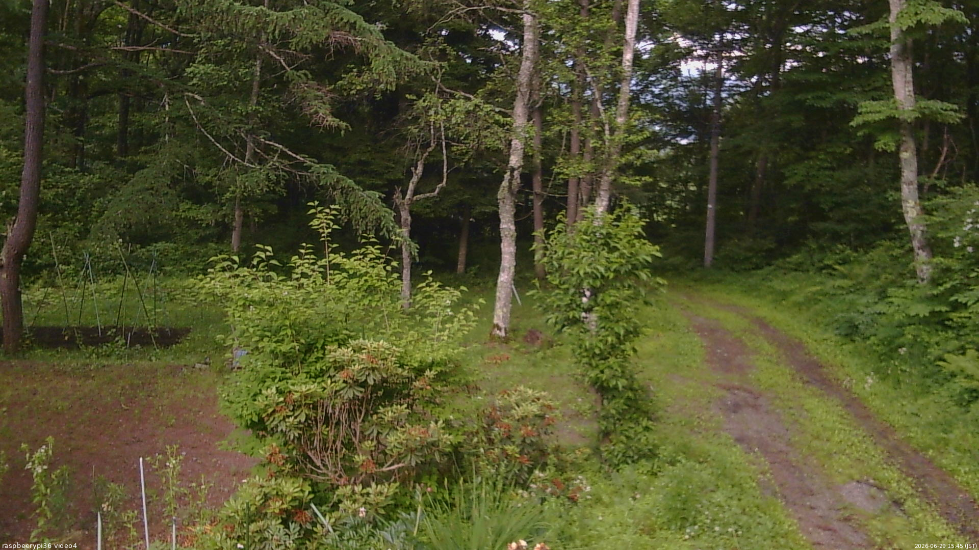 長野県菅平高原 ゆたか山荘 坂上 2026/06/29 15:45