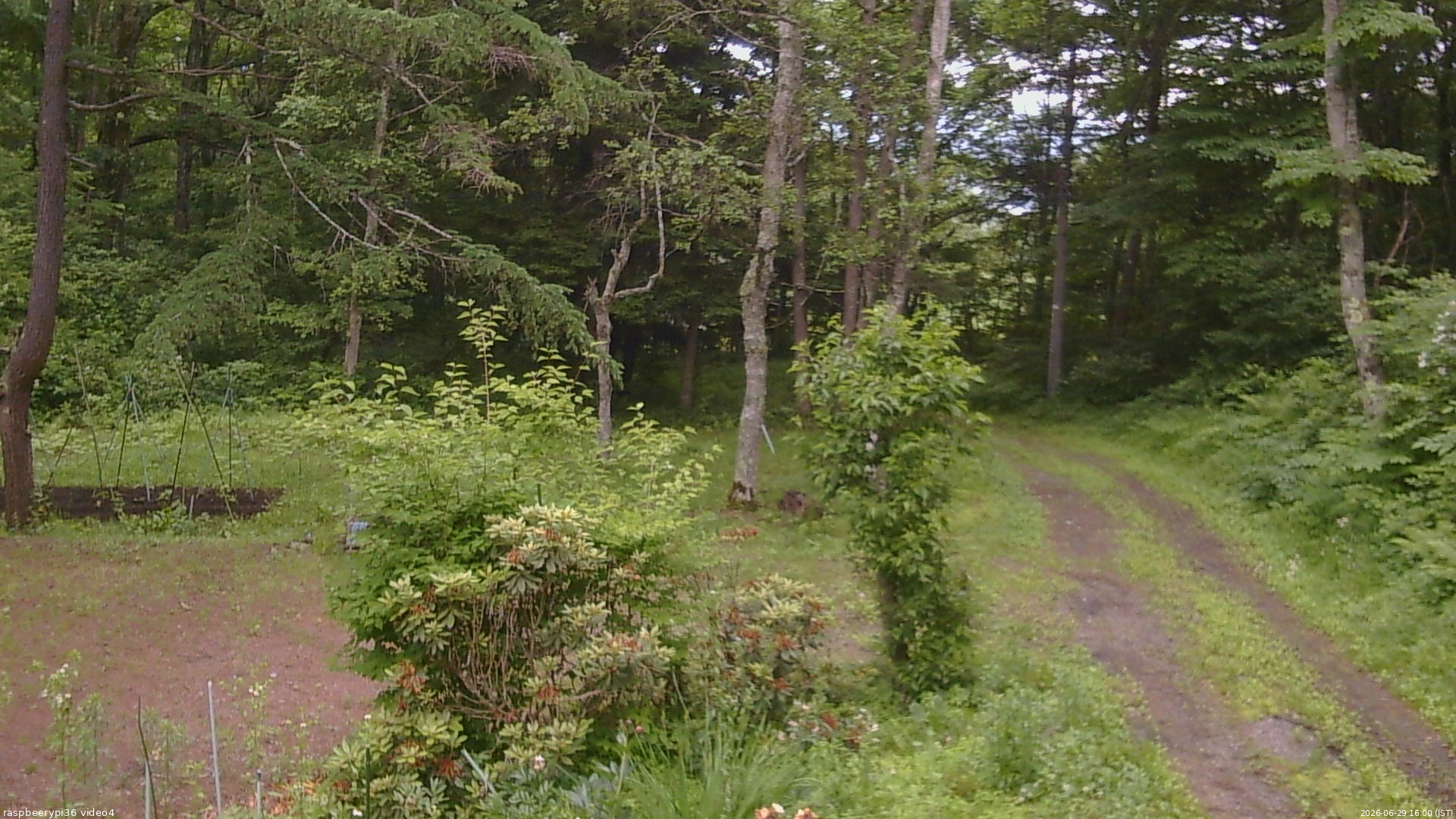長野県菅平高原 ゆたか山荘 坂上 2026/06/29 16:00