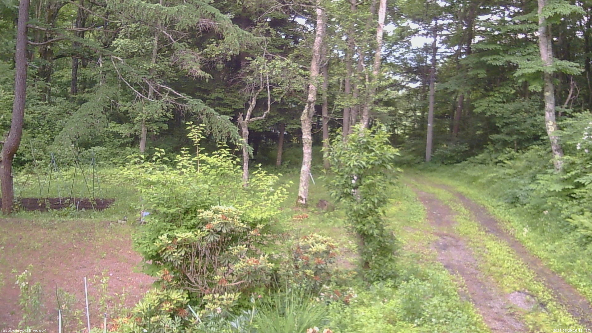 長野県菅平高原 ゆたか山荘 坂上 2026/06/29 16:45