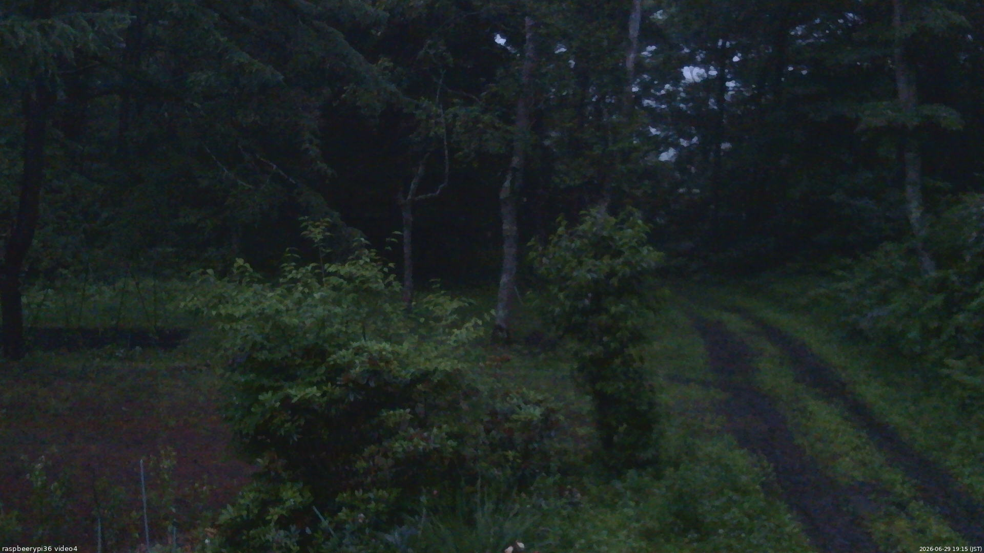 長野県菅平高原 ゆたか山荘 坂上 2026/06/29 19:15