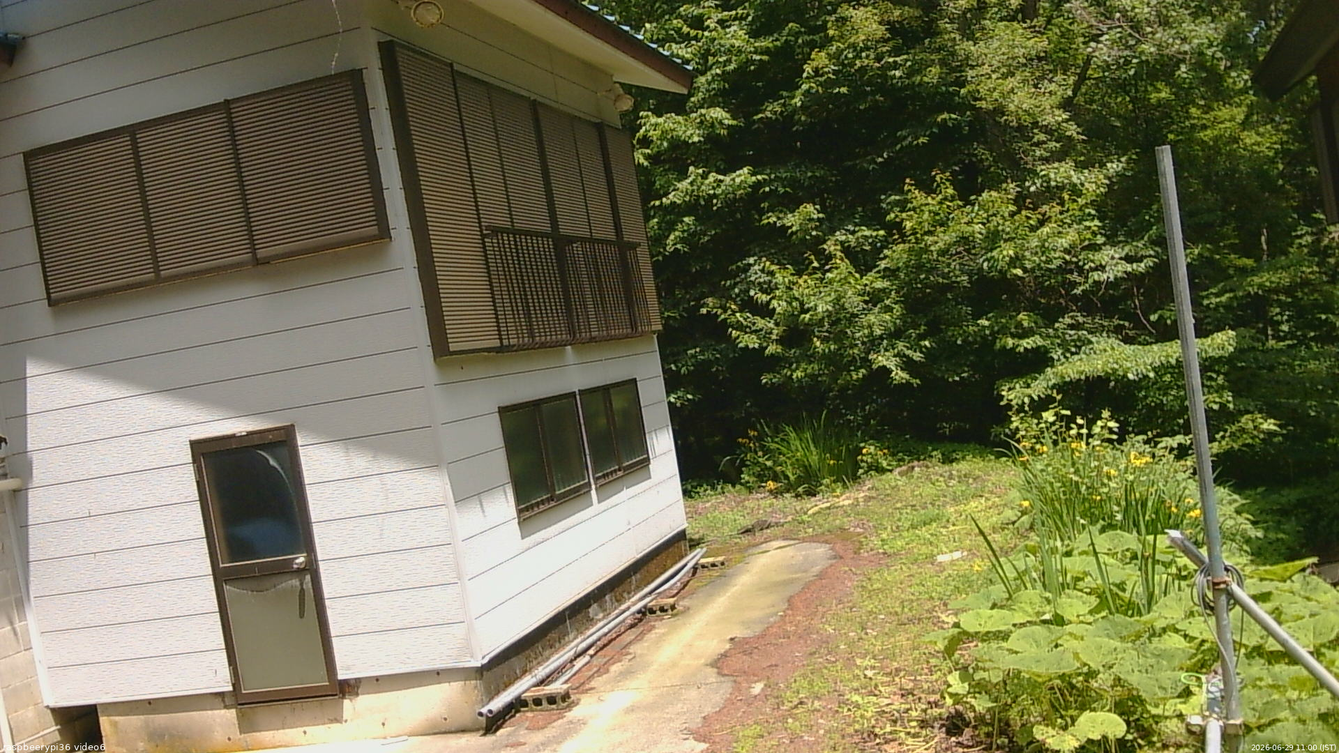 長野県菅平高原 ゆたか山荘 坂下 2026/06/29 11:00