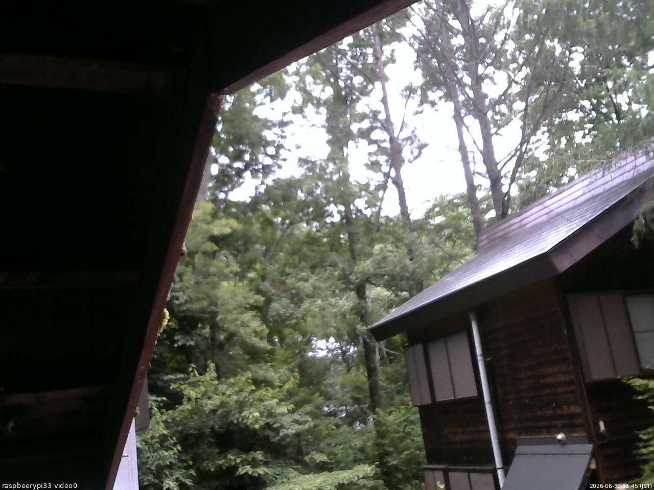 長野県菅平高原 ゆたか山荘 北側 2026/06/30 11:45