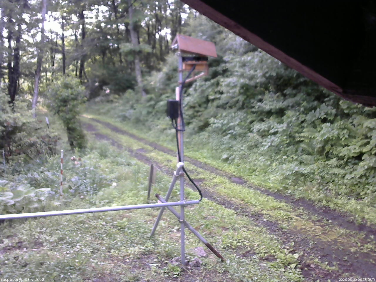 長野県菅平高原 ゆたか山荘 南側 2026/06/30 06:15