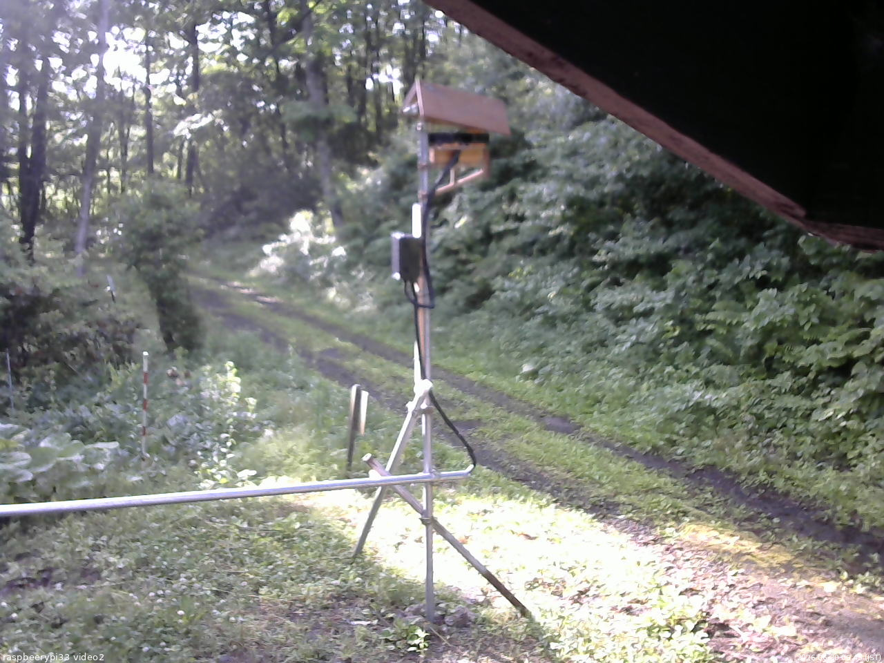長野県菅平高原 ゆたか山荘 南側 2026/06/30 06:45