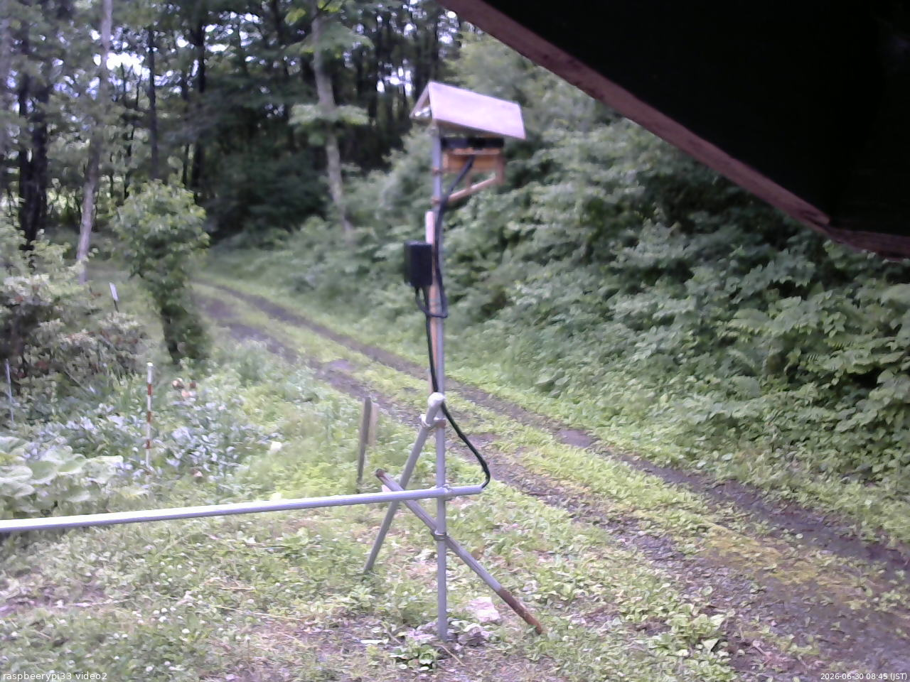 長野県菅平高原 ゆたか山荘 南側 2026/06/30 08:45