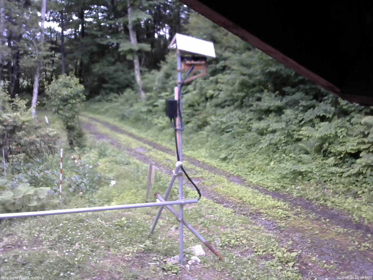 長野県菅平高原 ゆたか山荘 南側 2026/06/30 10:00