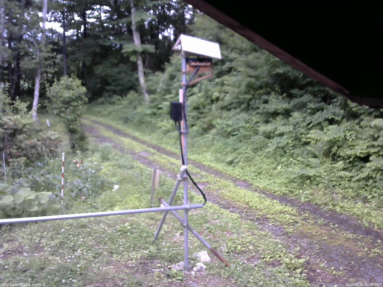 長野県菅平高原 ゆたか山荘 南側 2026/06/30 10:45
