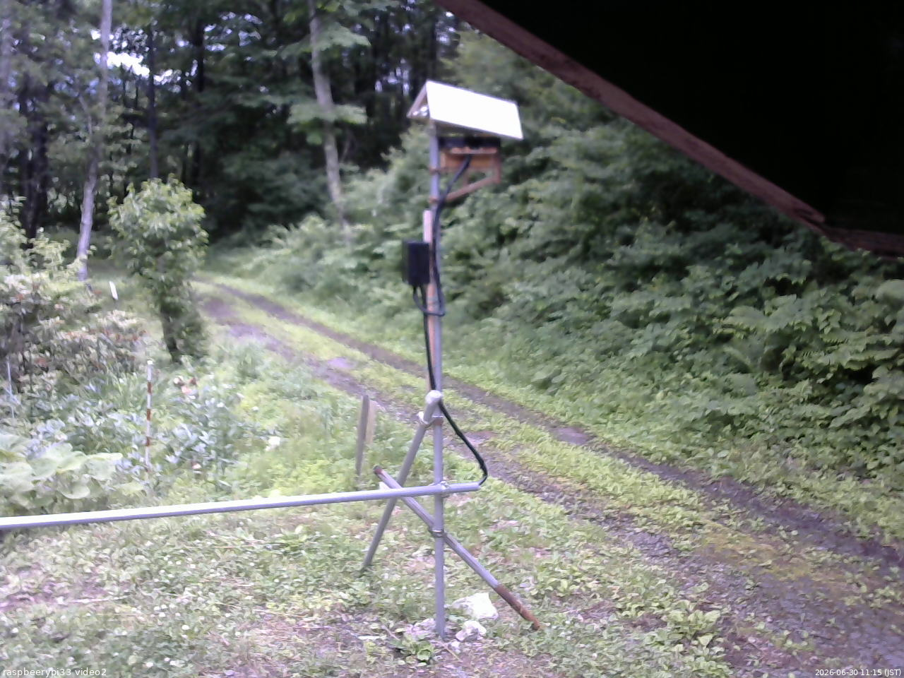 長野県菅平高原 ゆたか山荘 南側 2026/06/30 11:15