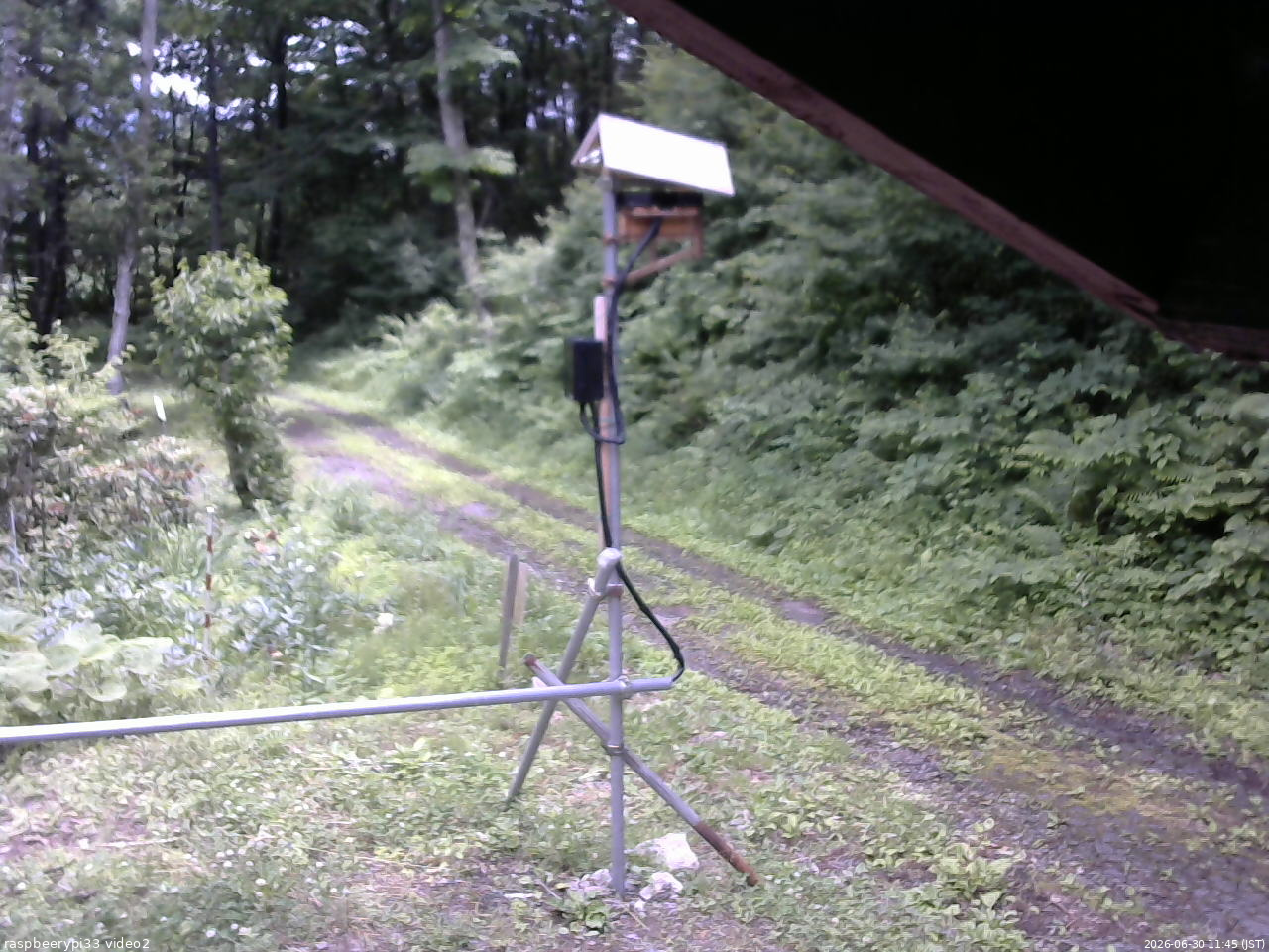 長野県菅平高原 ゆたか山荘 南側 2026/06/30 11:45