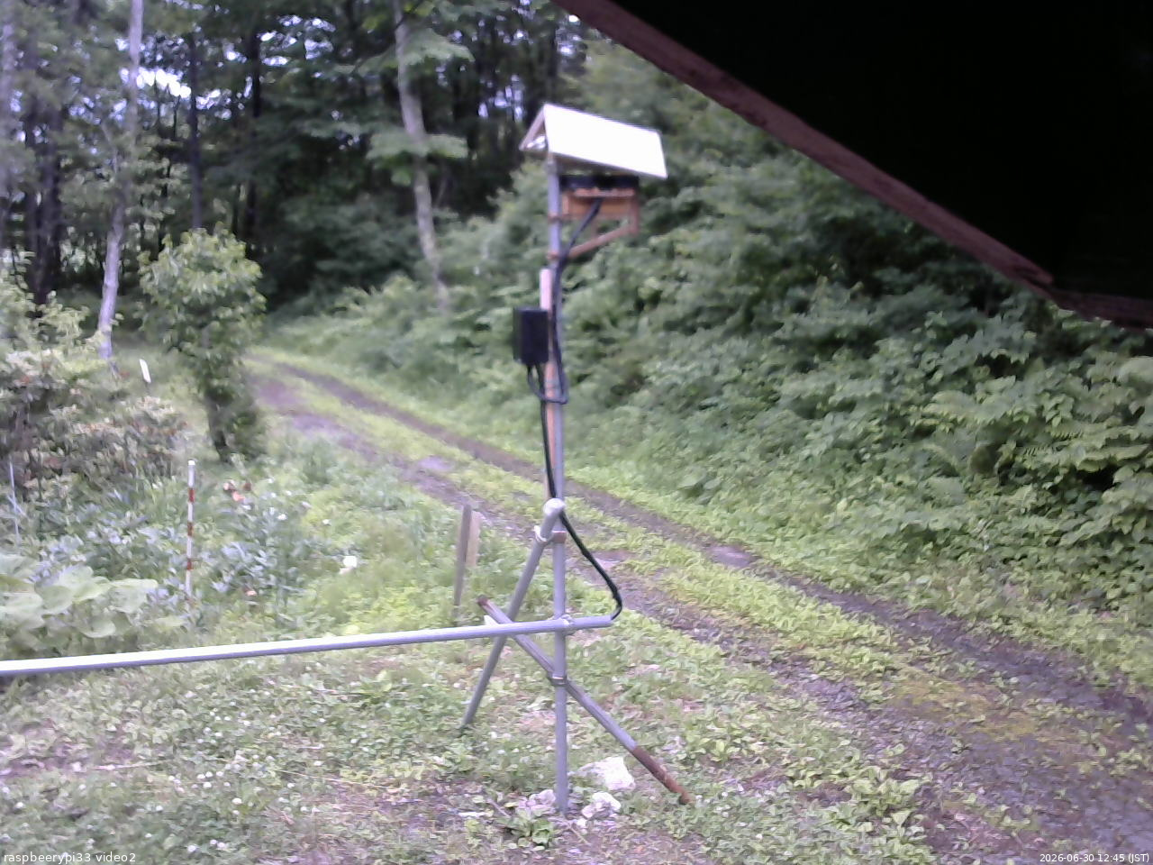 長野県菅平高原 ゆたか山荘 南側 2026/06/30 12:45