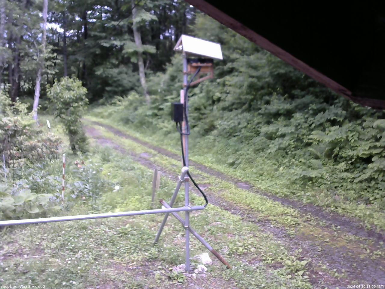 長野県菅平高原 ゆたか山荘 南側 2026/06/30 13:00
