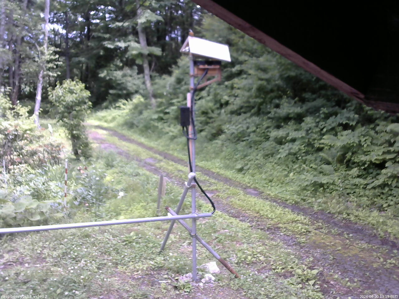 長野県菅平高原 ゆたか山荘 南側 2026/06/30 13:15