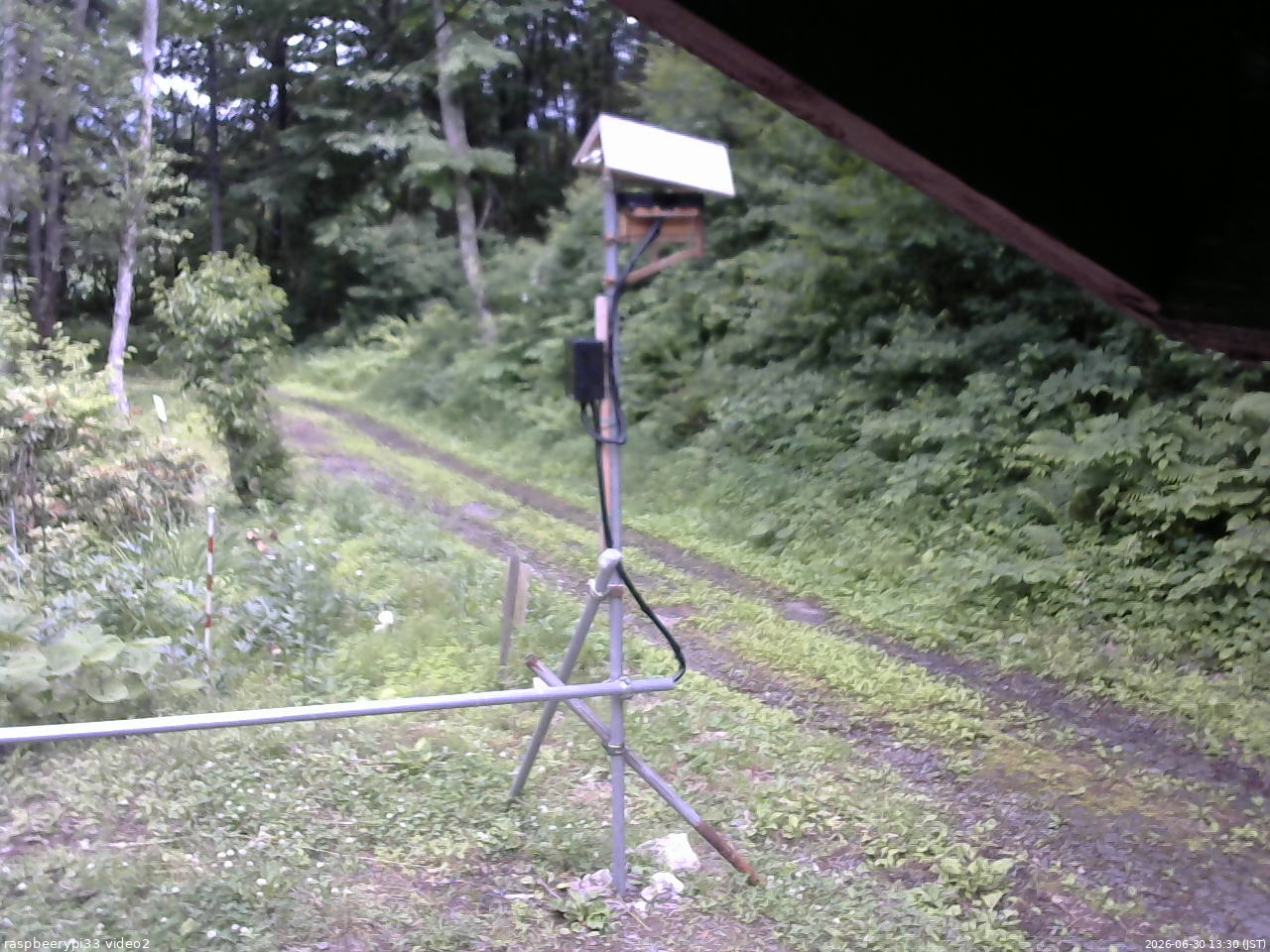 長野県菅平高原 ゆたか山荘 南側 2026/06/30 13:30