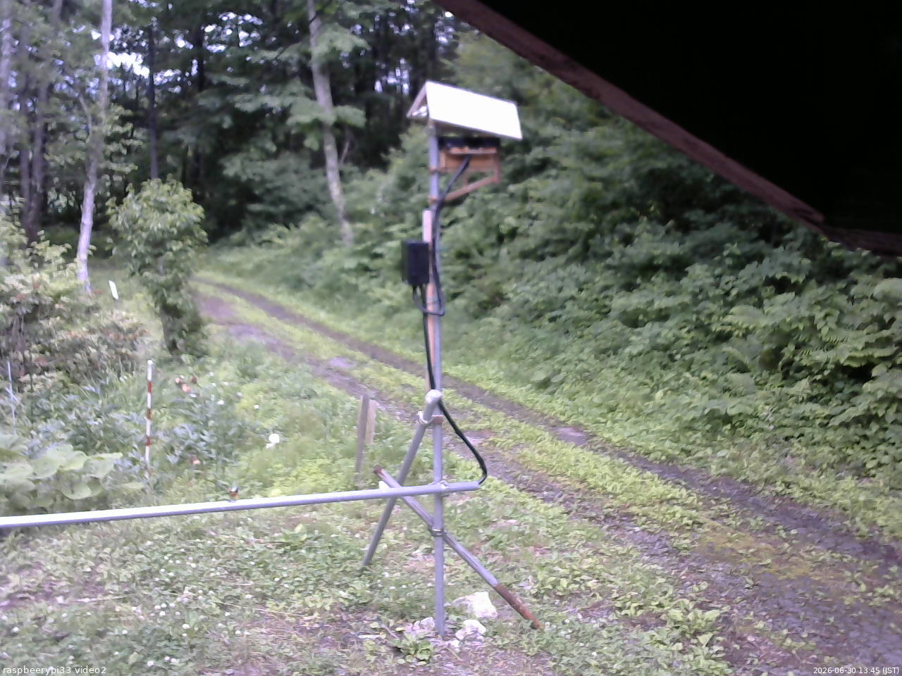 長野県菅平高原 ゆたか山荘 南側 2026/06/30 13:45