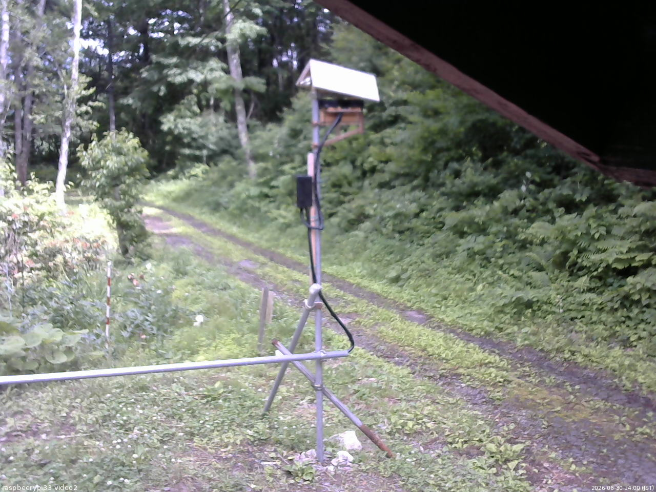 長野県菅平高原 ゆたか山荘 南側 2026/06/30 14:00