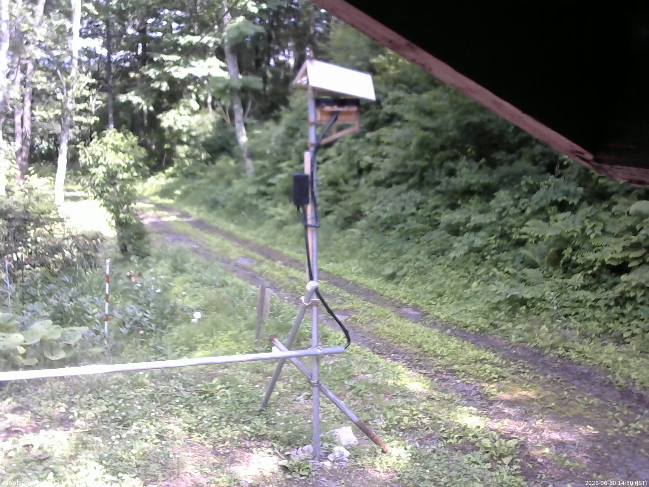 長野県菅平高原 ゆたか山荘 南側 2026/06/30 14:30