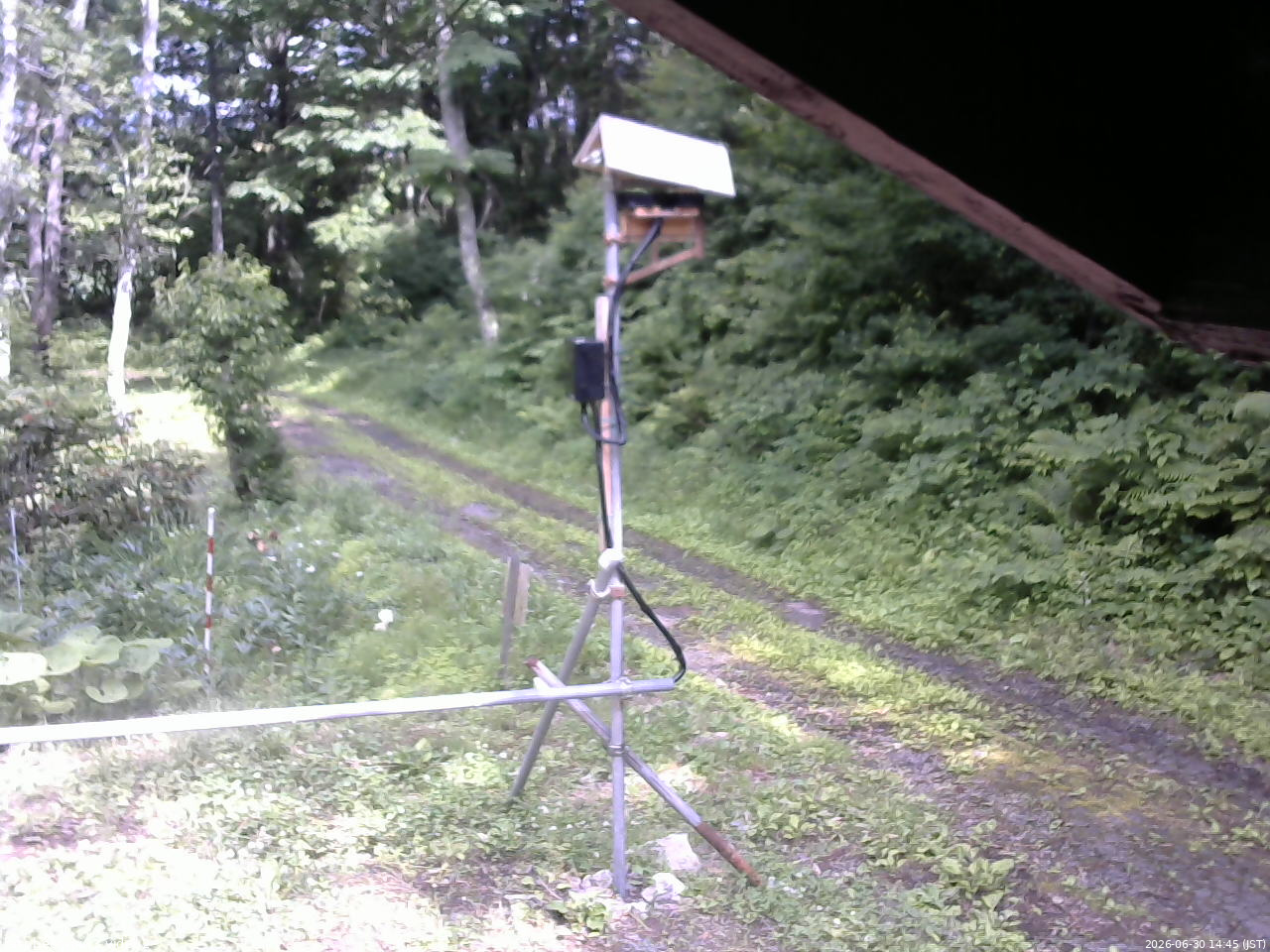 長野県菅平高原 ゆたか山荘 南側 2026/06/30 14:45