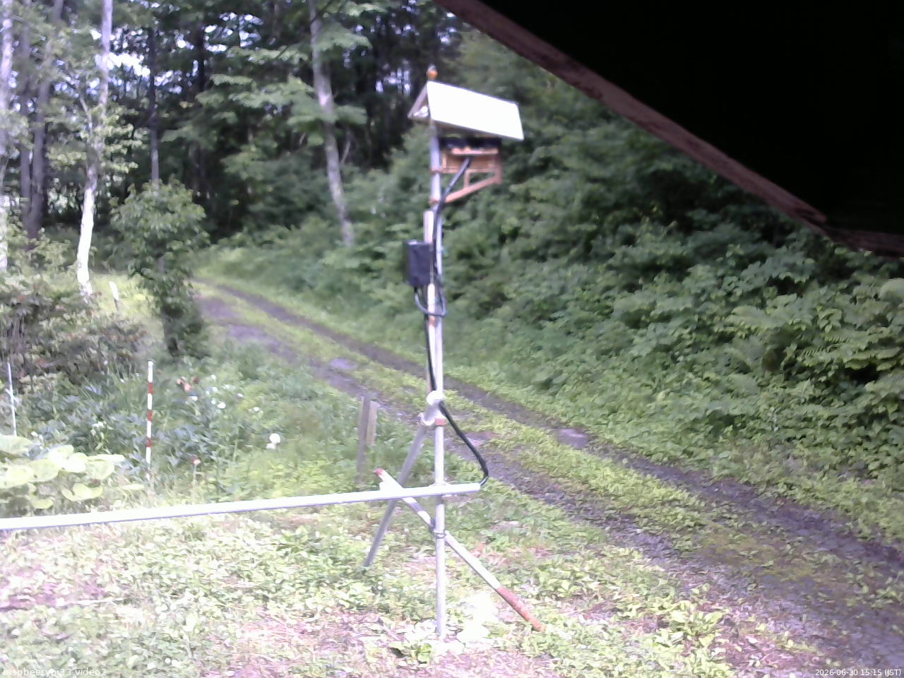 長野県菅平高原 ゆたか山荘 南側 2026/06/30 15:15