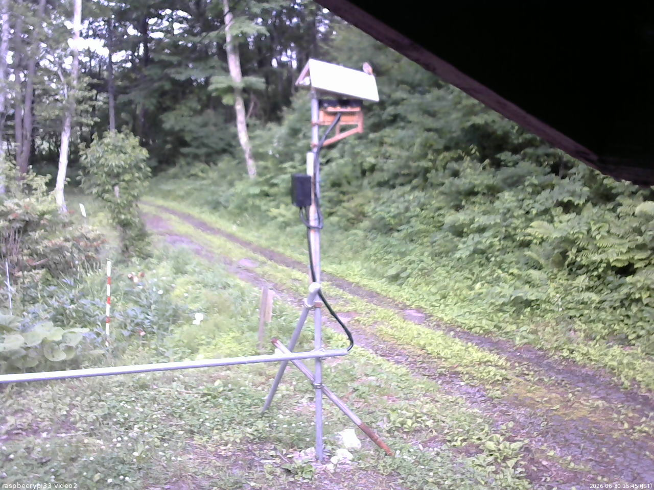 長野県菅平高原 ゆたか山荘 南側 2026/06/30 15:45