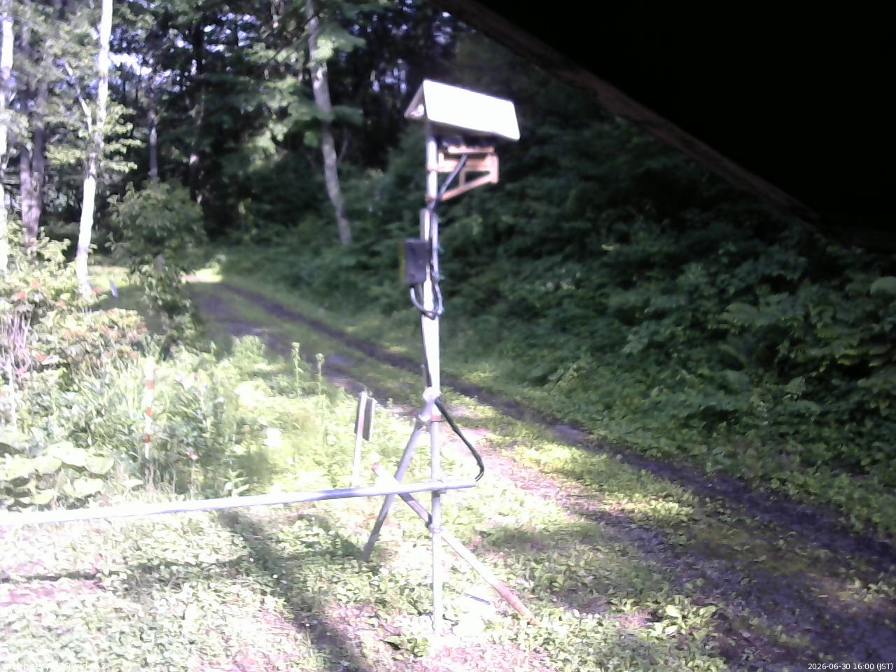 長野県菅平高原 ゆたか山荘 南側 2026/06/30 16:00