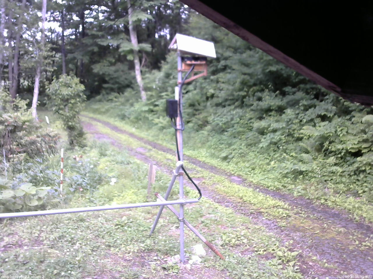 長野県菅平高原 ゆたか山荘 南側 2026/06/30 16:30