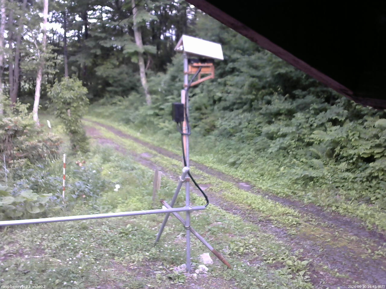 長野県菅平高原 ゆたか山荘 南側 2026/06/30 16:45