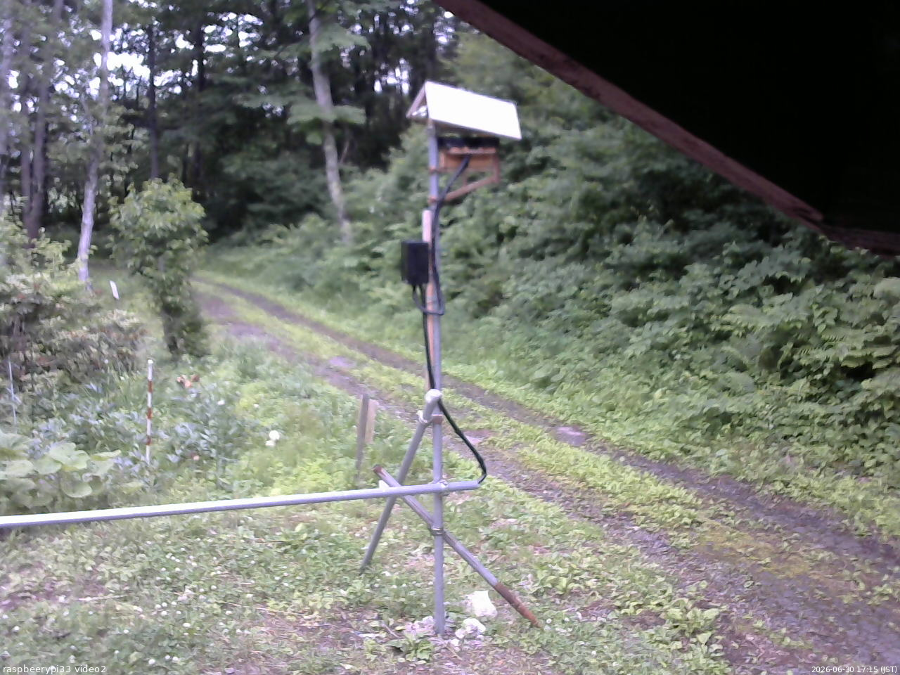 長野県菅平高原 ゆたか山荘 南側 2026/06/30 17:15