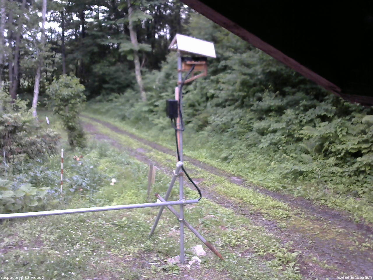 長野県菅平高原 ゆたか山荘 南側 2026/06/30 18:00
