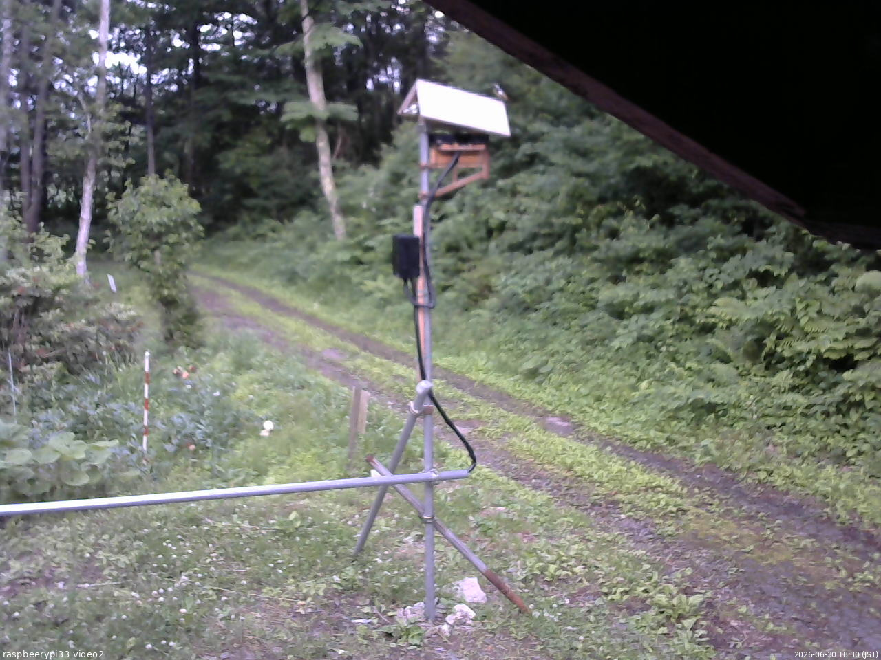 長野県菅平高原 ゆたか山荘 南側 2026/06/30 18:30
