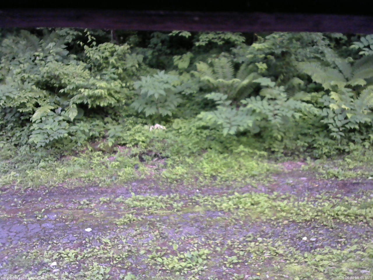 長野県菅平高原 ゆたか山荘 東側(坂下) 2026/06/30 18:45
