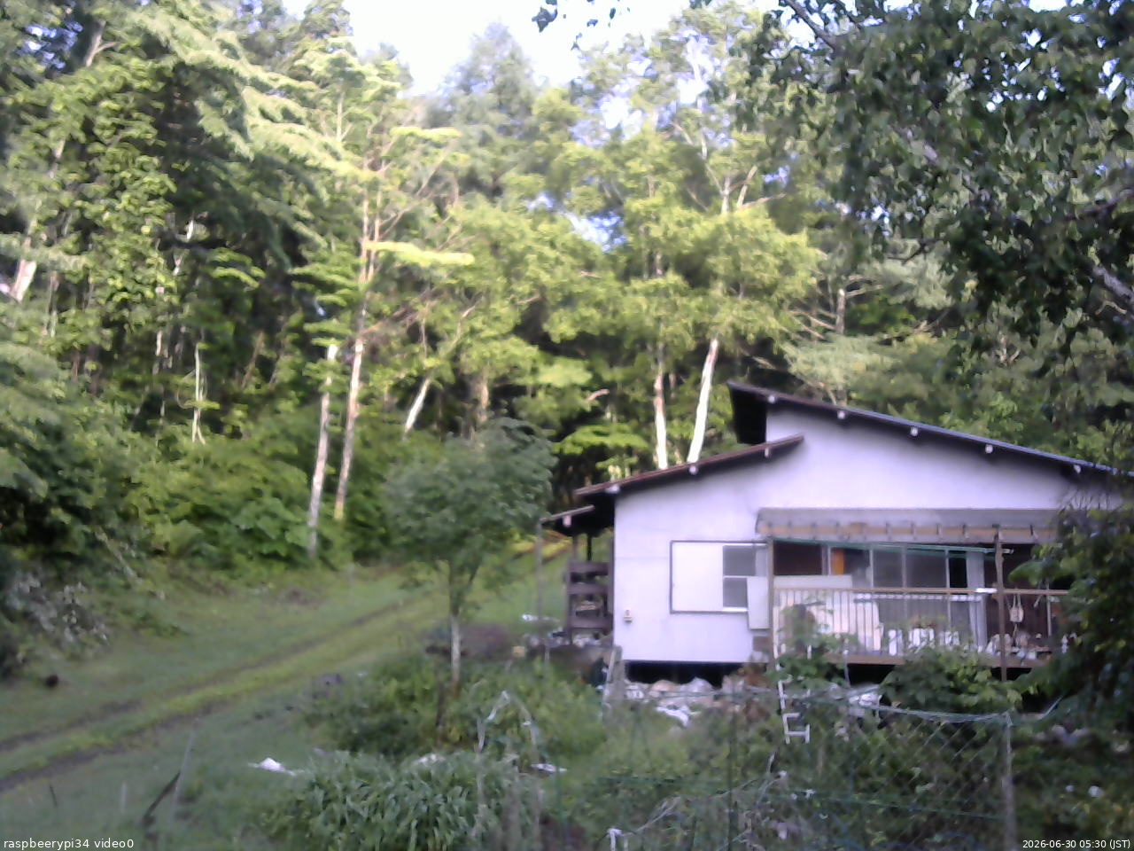 長野県菅平高原 ゆたか山荘 西側(坂上) 2026/06/30 05:30