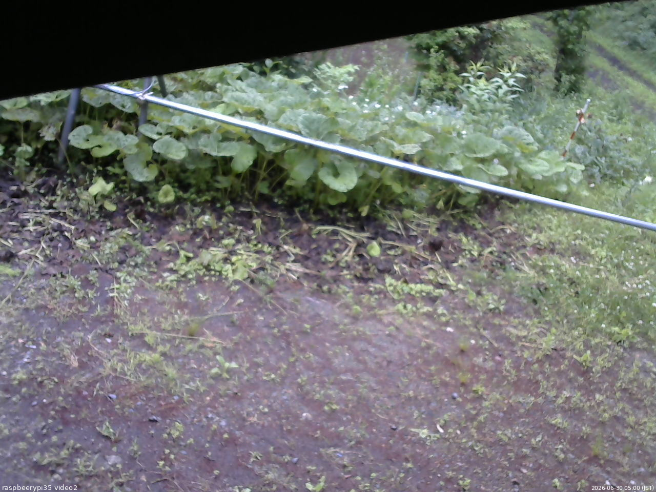 長野県菅平高原 ゆたか山荘 駐車場 2026/06/30 05:00