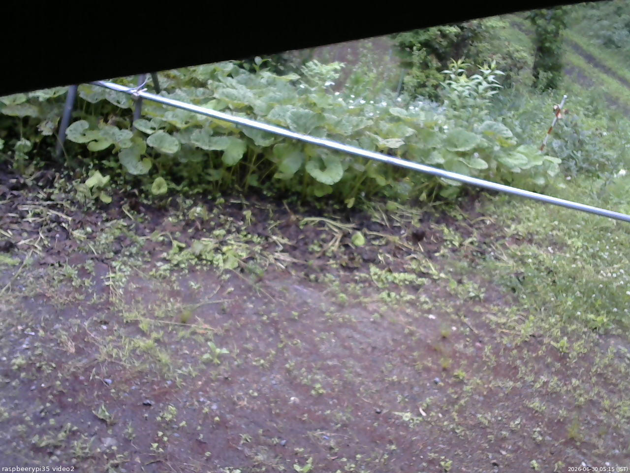 長野県菅平高原 ゆたか山荘 駐車場 2026/06/30 05:15