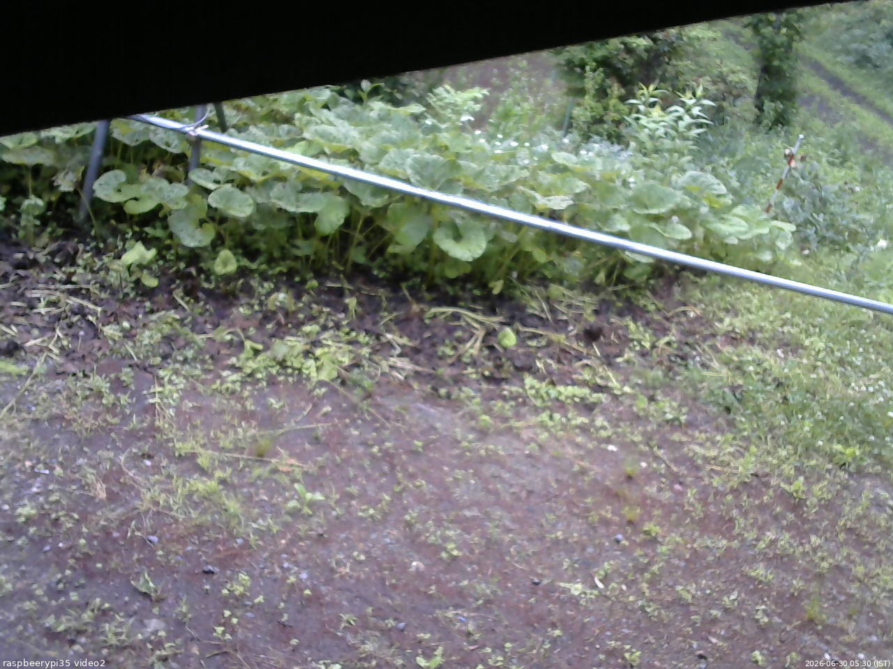 長野県菅平高原 ゆたか山荘 駐車場 2026/06/30 05:30