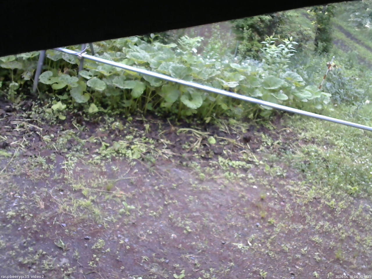 長野県菅平高原 ゆたか山荘 駐車場 2026/06/30 06:30