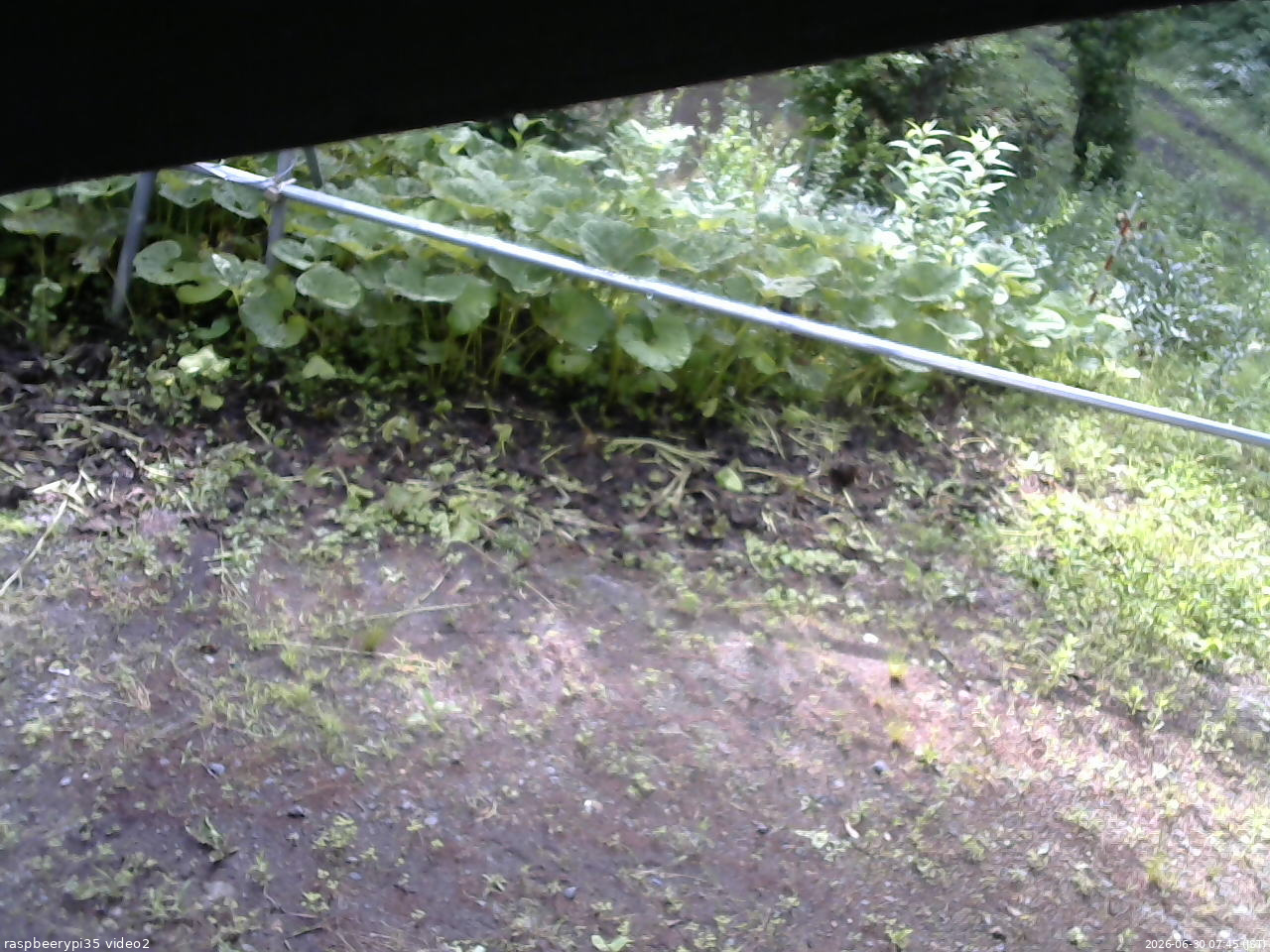 長野県菅平高原 ゆたか山荘 駐車場 2026/06/30 07:45