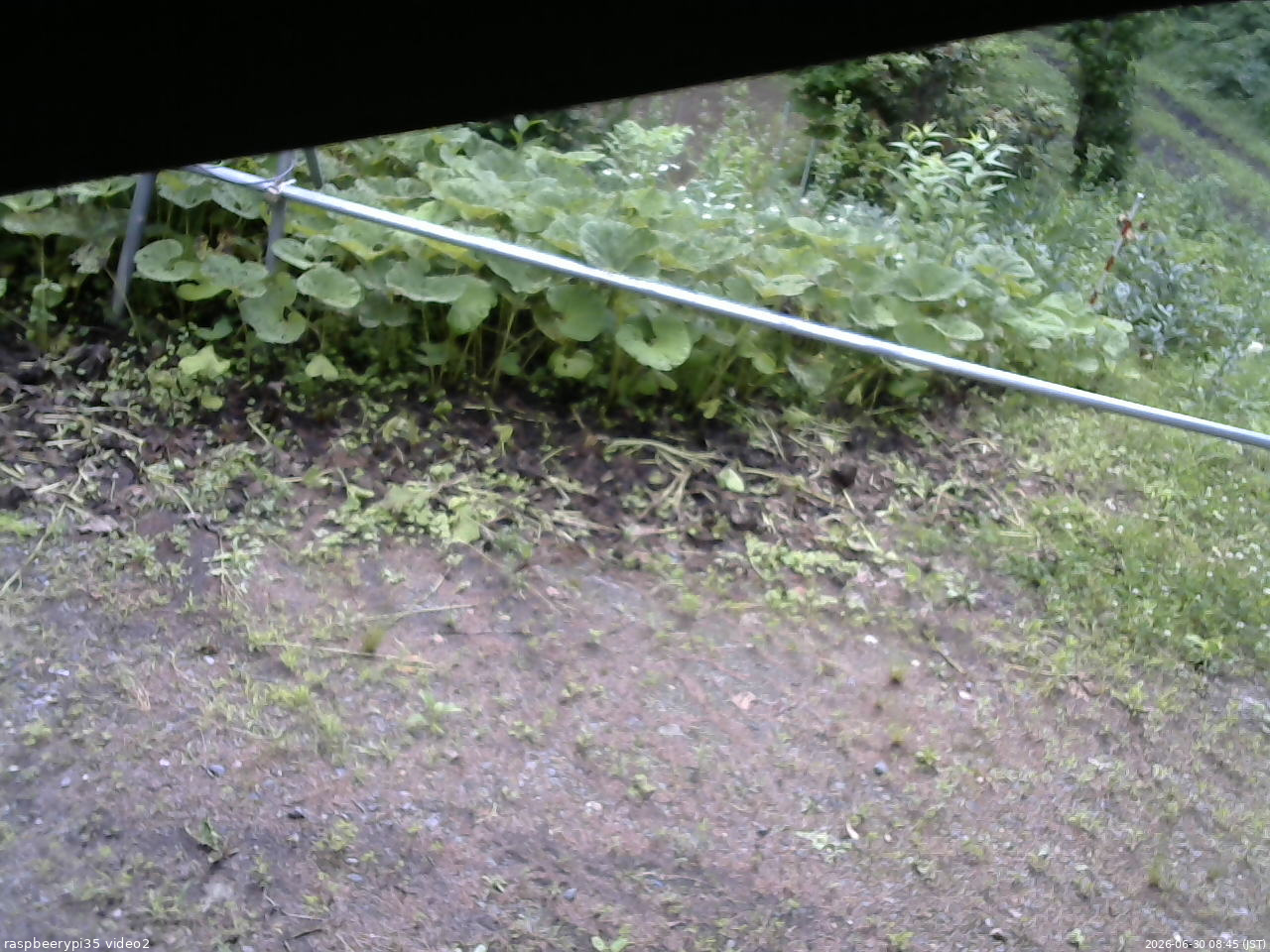 長野県菅平高原 ゆたか山荘 駐車場 2026/06/30 08:45